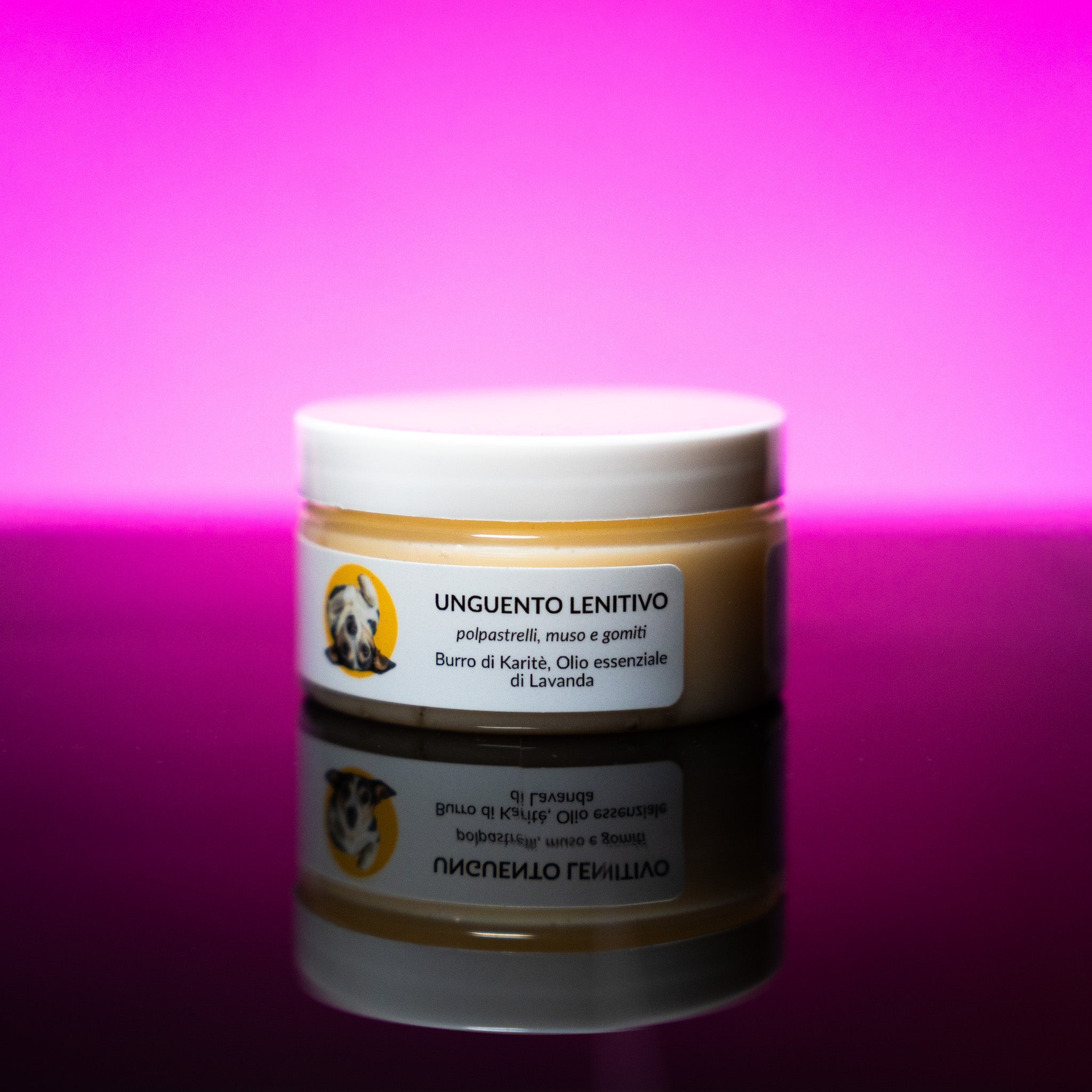 Unguento Lenitivo Naturale per Cani BiZa Pets – Polpastrelli e Muso 50 ml-0